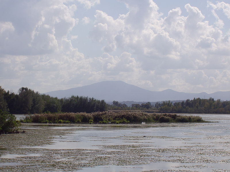 audioguida Oasi naturalistica Lago di Alviano